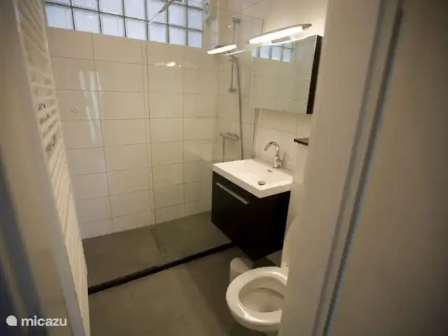 Location de Vacances Allemagne, Sauerland, Lichtenau-Husen, maison de vacances - Ferienhaus C6 im Europa Feriendorf Salle de bain moderne avec douche