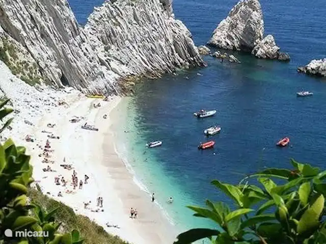 Villa San Vitale Grandissimo | Italie, Marche, San Vito sul Cesano - villa Nous vous disons comment se rendre à ce paradis