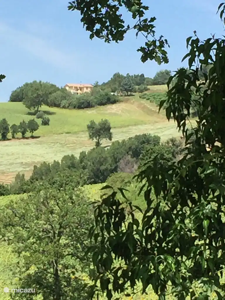 Villa San Vitale Grandissimo