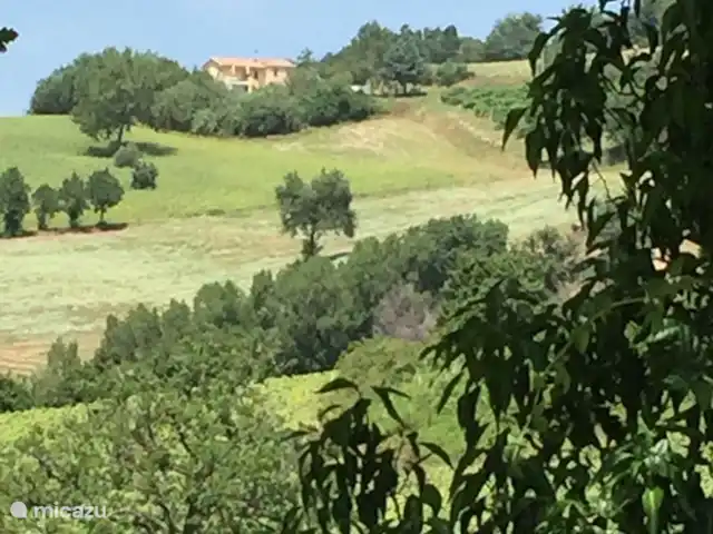 Villa San Vitale Grandissimo | Italie, Marche, San Vito sul Cesano - villa large vue et intimité totale