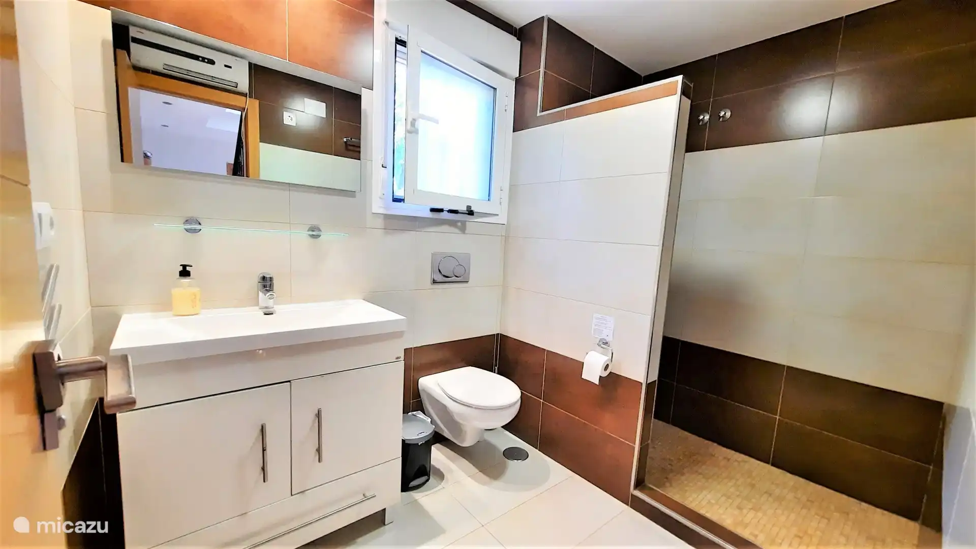 Bathroom 1 on the living floor with walk-in shower