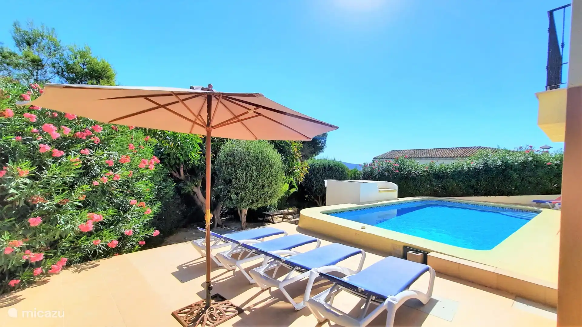 Beautiful garden around the pool