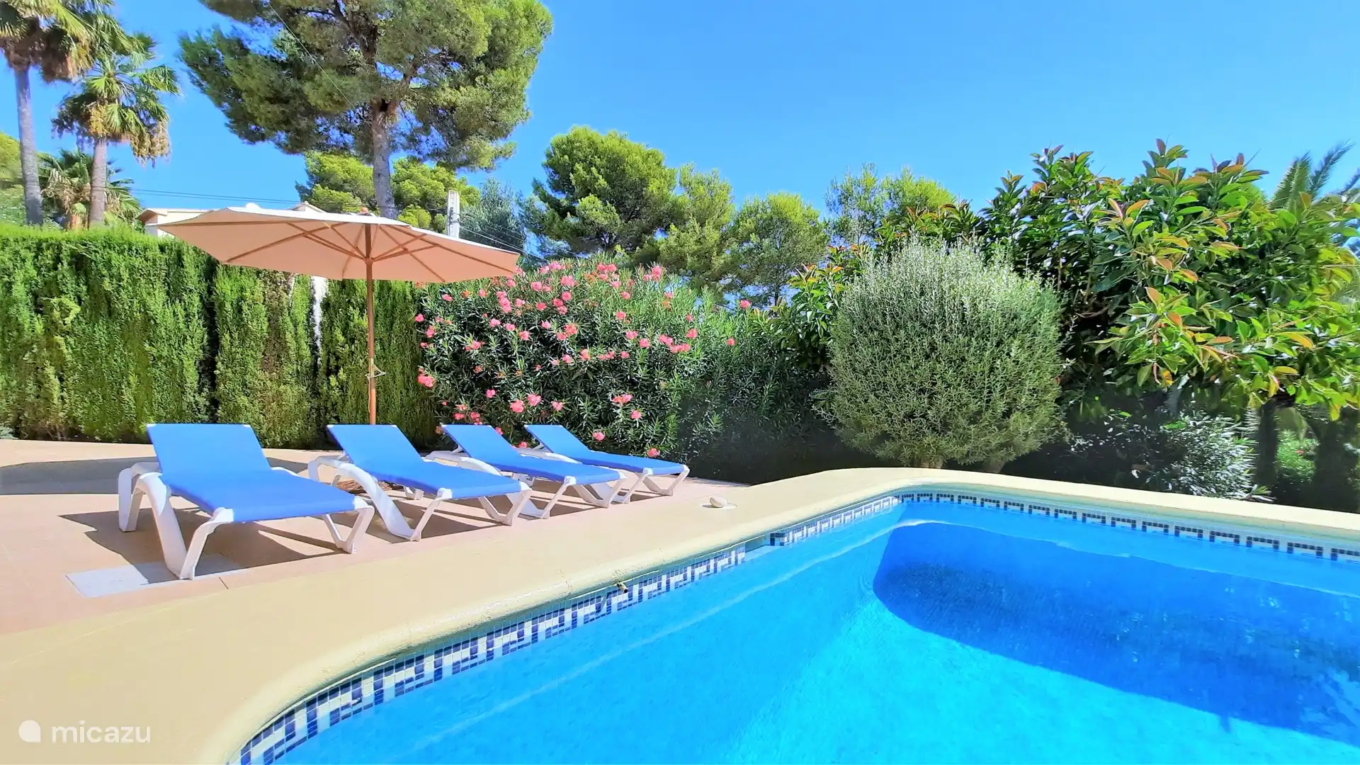 Lots of greenery in the beautiful garden of Villa Nova