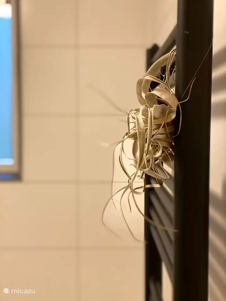 Detail Badezimmer im Erdgeschoss.