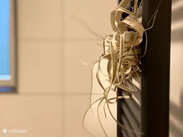 Chateau Brûlant huren in België, Ardennen, Somme-Leuze - vakantiehuis Detail badkamer beneden.