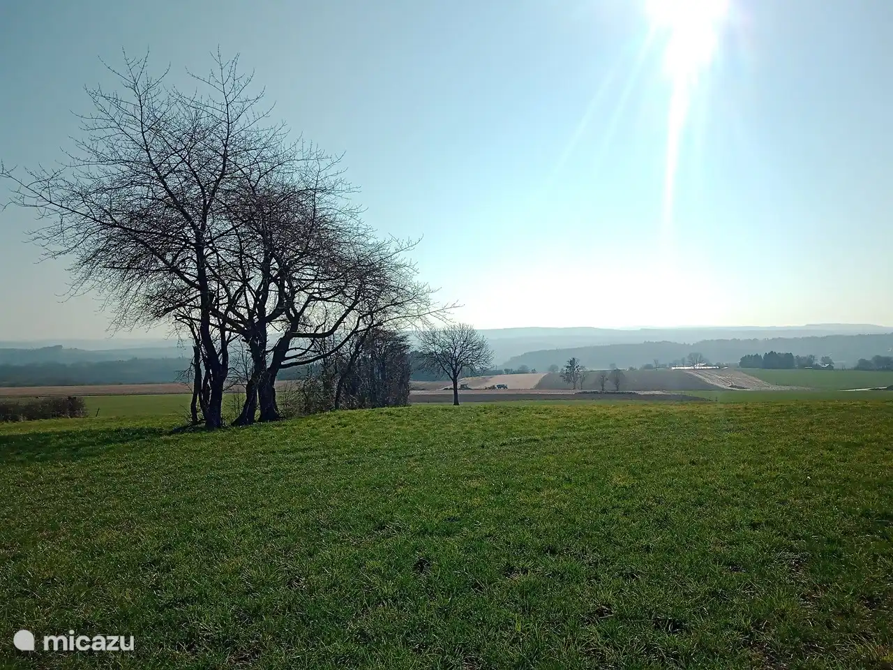 Ansehen bei einem Spaziergang in der Nachbarschaft.