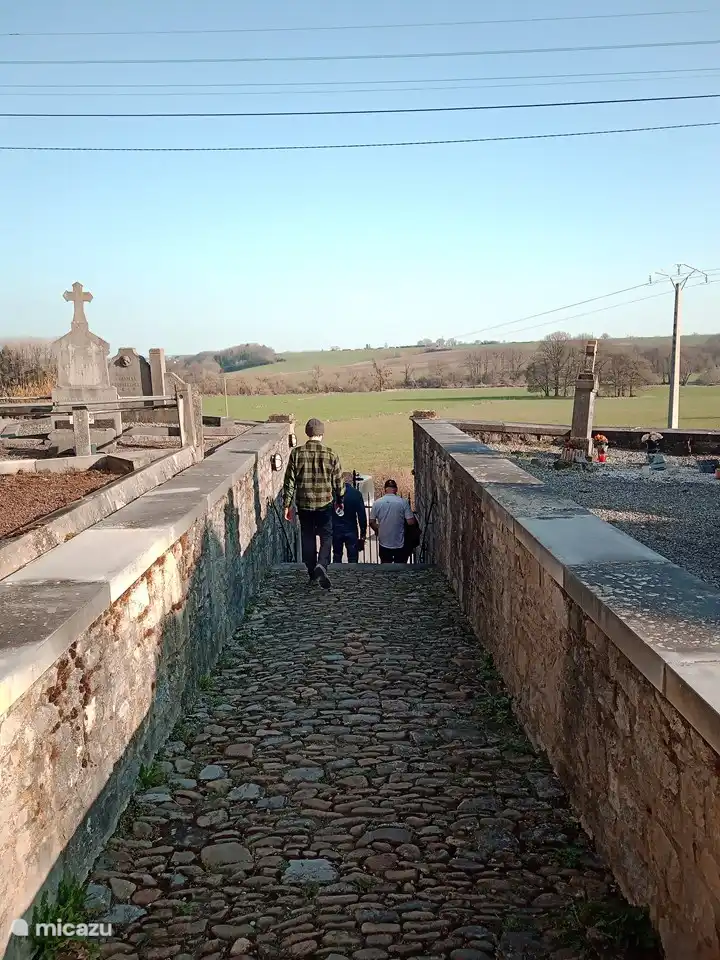 Ansehen bei einem Spaziergang in der Nachbarschaft.