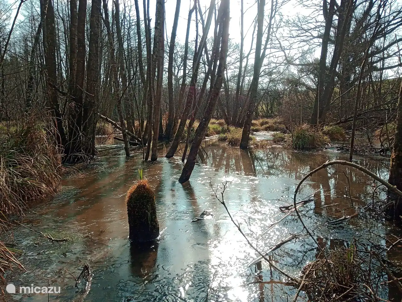 Ansehen bei einem Spaziergang in der Nachbarschaft.