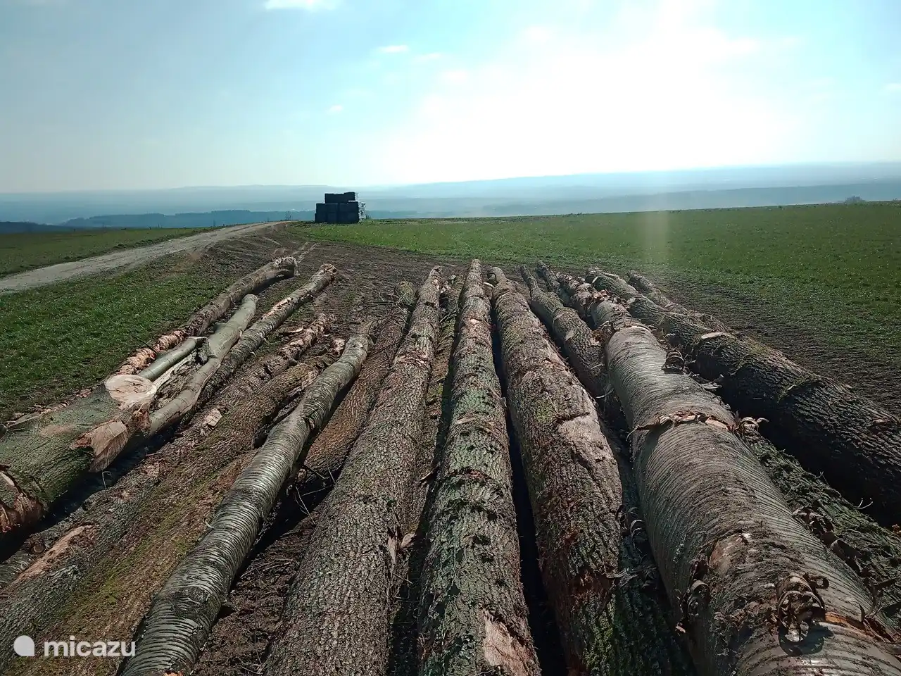 Ansehen bei einem Spaziergang in der Nachbarschaft.