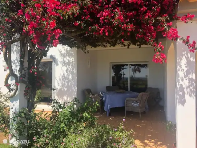 Casa Feliz | Portugal, Algarve, Santa Bárbara de Nexe - villa Terrasse ombragée