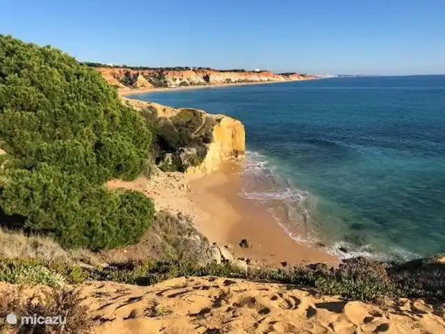 Casa Feliz | Portugal, Algarve, Santa Bárbara de Nexe - villa Olhos de Agua