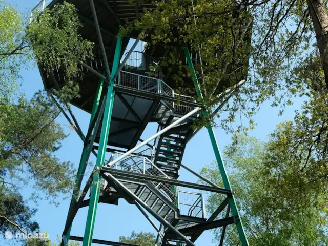 Location de Vacances Allemagne, Basse-Saxe, Faible, appartement - Appartement région Ootmarsum La tour de guet à Hesingen, non loin de Lage.