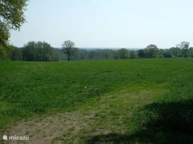 Location de Vacances Allemagne, Basse-Saxe, Faible, appartement - Appartement région Ootmarsum