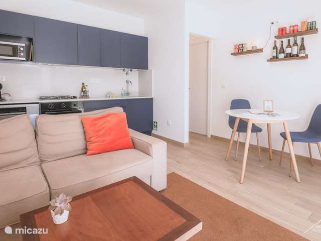 Holiday home in Portugal, Prata Coast – apartment Apartment Berlenga