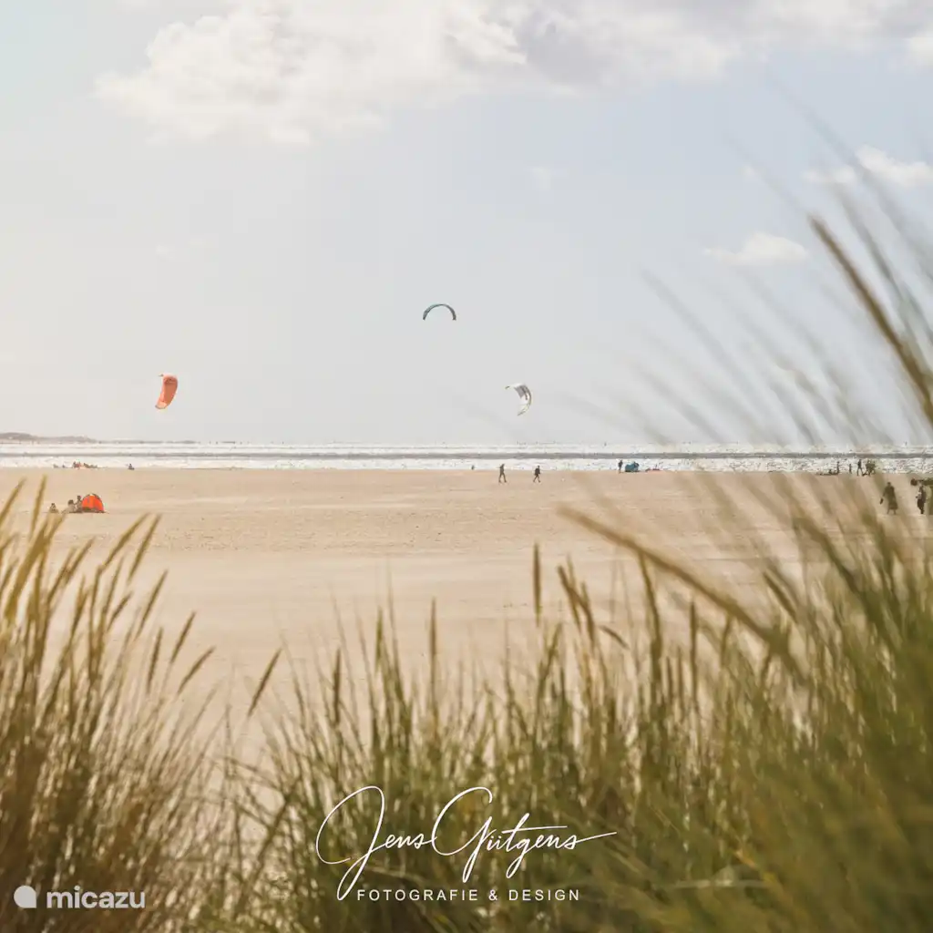 De Schelp, Port Greve
