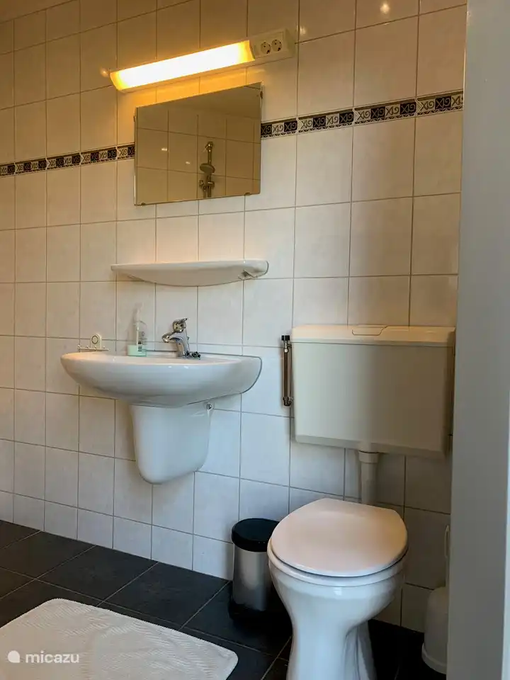 1ère toilette