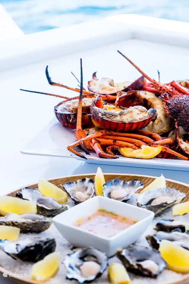 Venez goûter la Zélande avec ses délicieux fruits de mer et sa langouste de l'Escaut oriental !