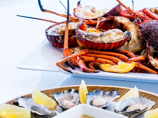 La coquille, Port Greve | Pays-Bas, Zélande, Brouwershaven - maison de vacances Venez goûter la Zélande avec ses délicieux fruits de mer et sa langouste de l'Escaut oriental !