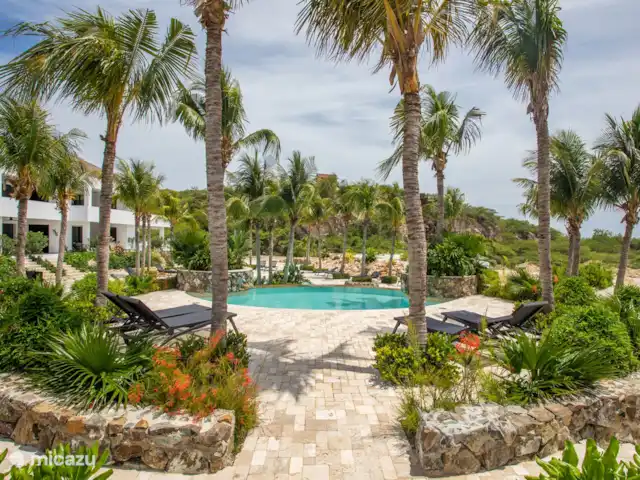 Le récif Curaçao 19 | Curaçao, Curaçao-Centre, Blue Bay - appartement Piscine