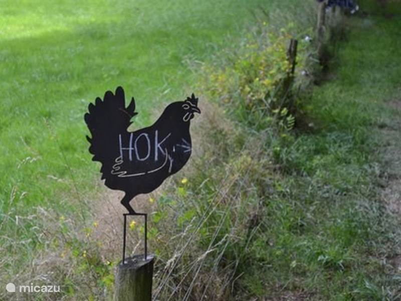 Holiday home in Netherlands, Gelderland, Emst Terraced House The Chicken Coop
