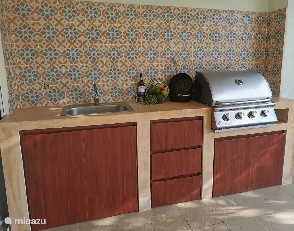 Cocina exterior con barbacoa de gas