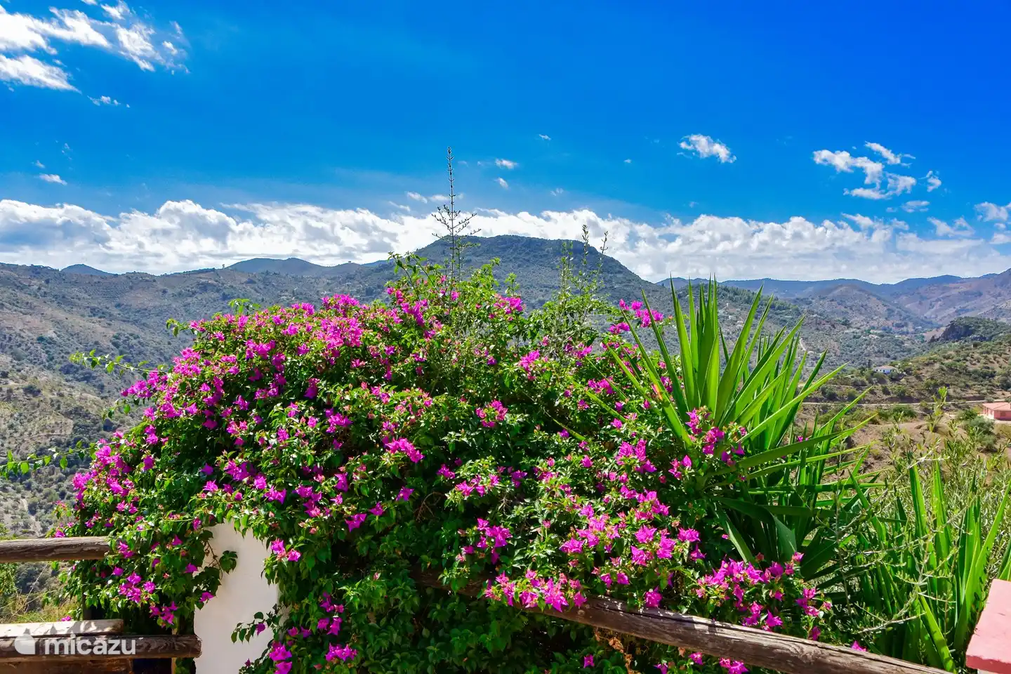 Die schöne Aussicht von der Terrasse.