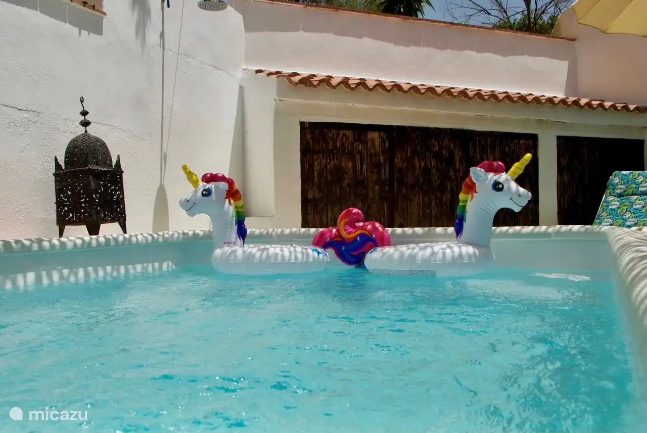 Der Pool, komplett privat.