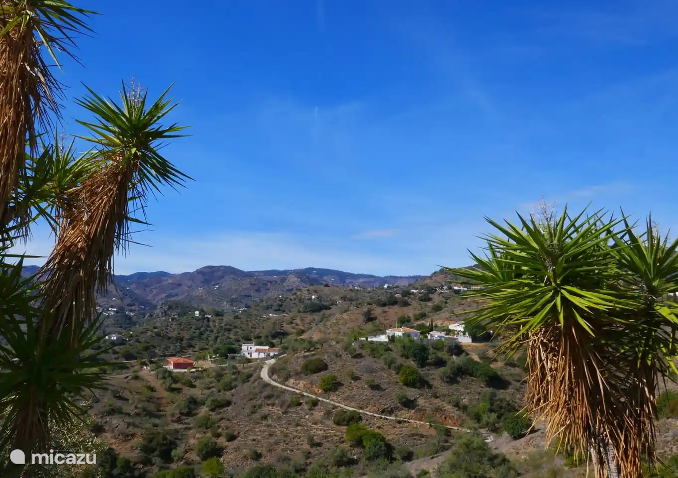 Blick von der überdachten Terrasse.