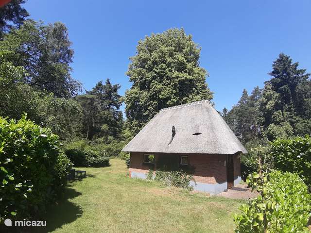 Maison de Vacances Pays-Bas, Gueldre, Emst (Epe) – tiny house La Bergerie