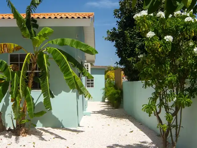 Cas Makutu huren in Curaçao, Banda Abou (west), Grote Berg - vakantiehuis