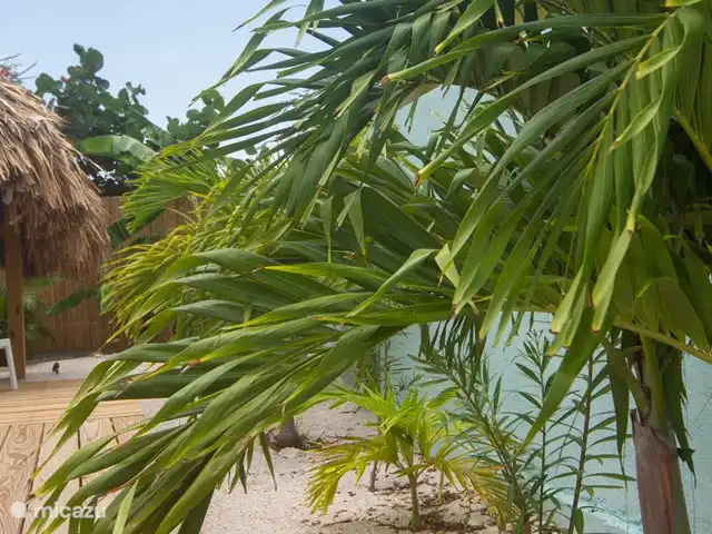 Cas Makutu huren in Curaçao, Banda Abou (west), Grote Berg - vakantiehuis
