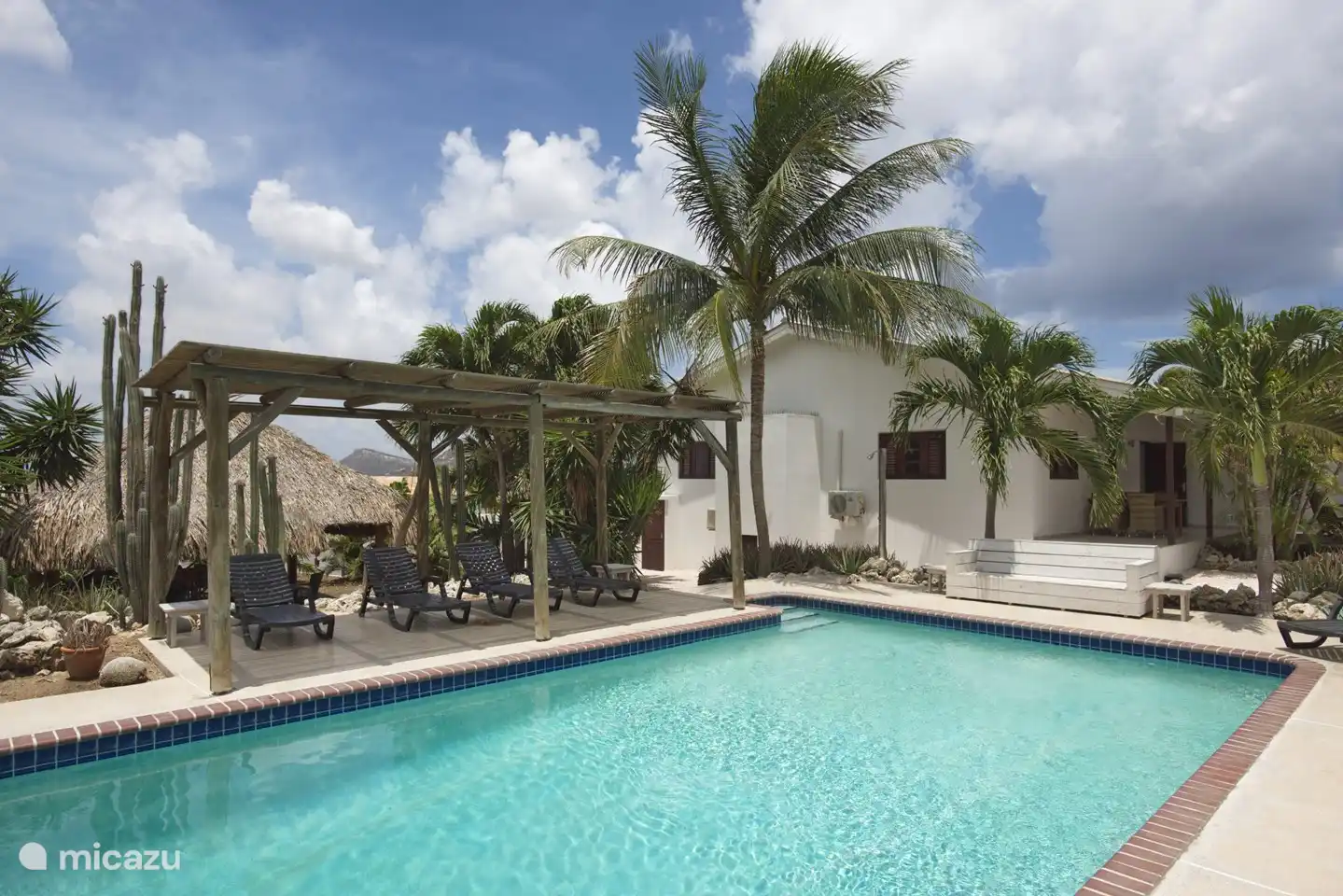 Large swimming pool of 10 x 5 meters