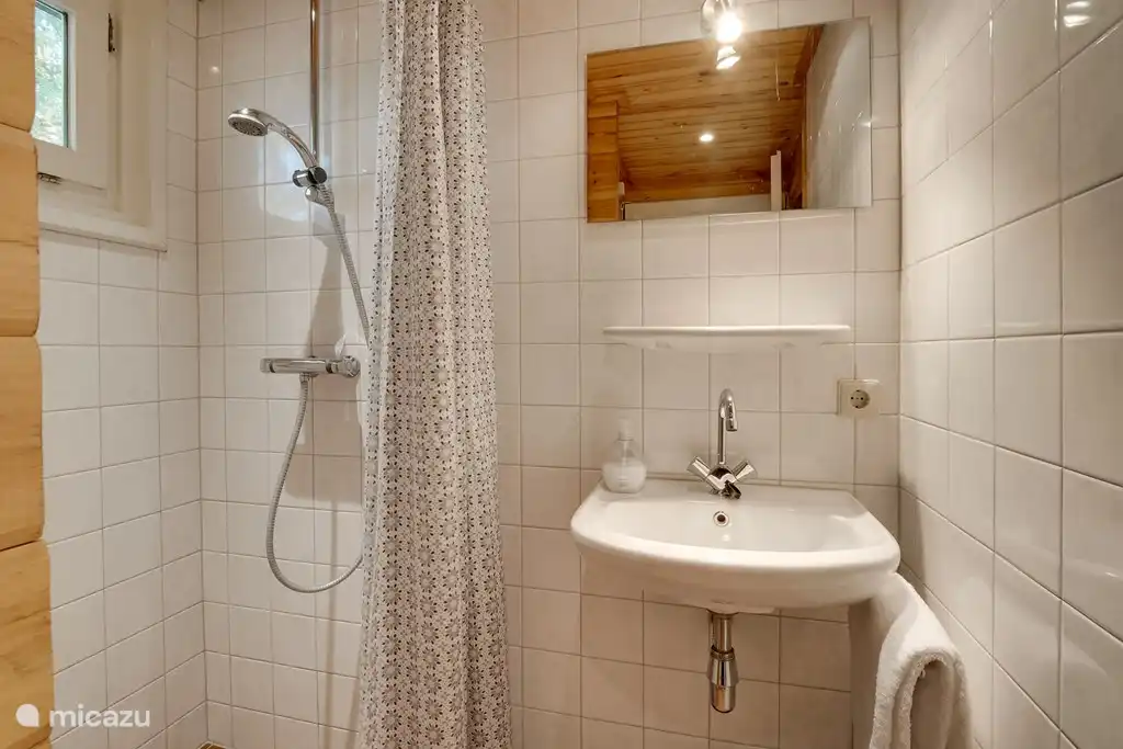 Salle de bain avec douche