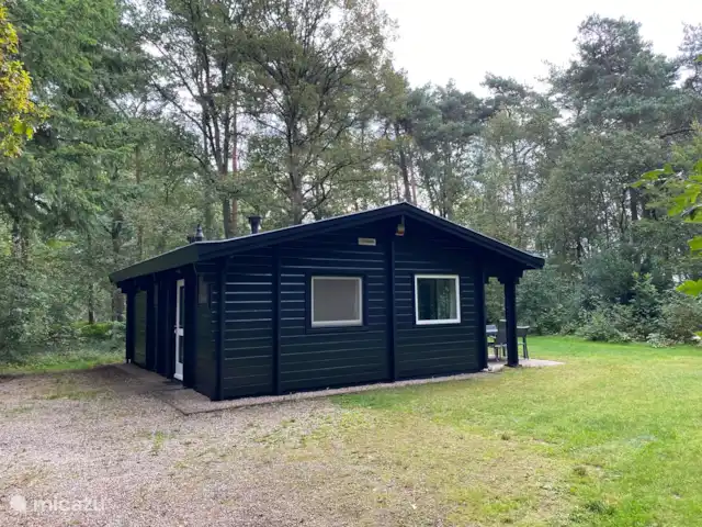 Eekhoorn, heerlijke Finse bungalow huren in Nederland, Gelderland, Hengelo - vakantiehuis Hoor de vogels, zie de dieren....