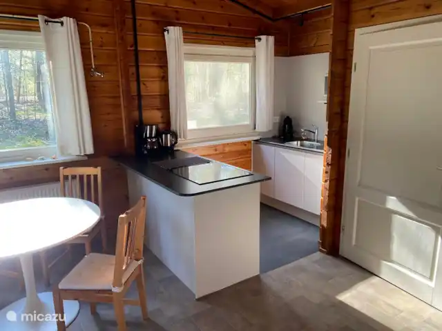 Eekhoorn, heerlijke Finse bungalow huren in Nederland, Gelderland, Hengelo - vakantiehuis keuken met inductiekookplaat en vaatwasser
