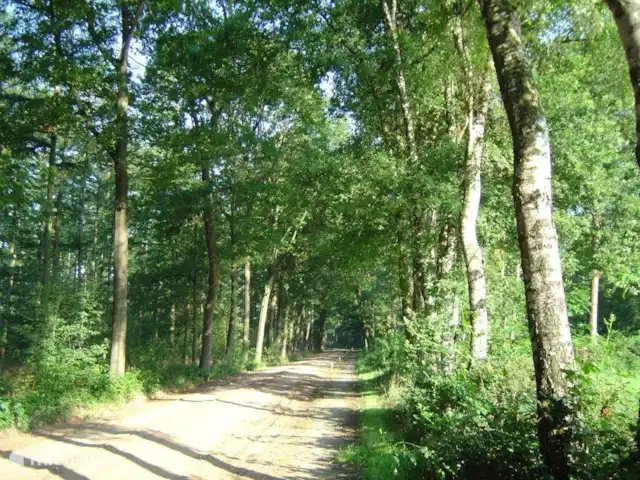 Eekhoorn, heerlijke Finse bungalow huren in Nederland, Gelderland, Hengelo - vakantiehuis De omgeving....