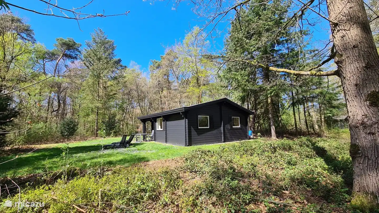 Waldkatze, finnischer Bungalow auf Landgut in Niederlande, Gelderland, Hengelo - ferienhaus
