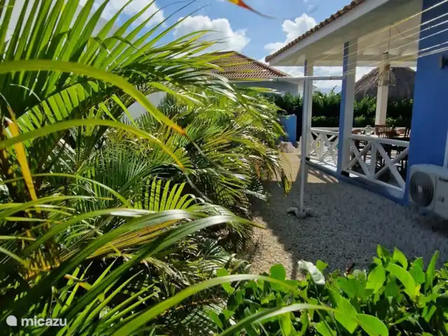 Casa Colori Curaçao | Curaçao, Banda Abou (ouest), Fontein - villa Les palmiers dansants du jardin