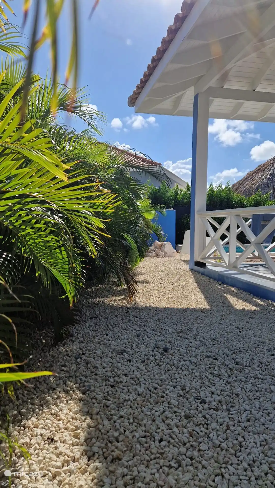 Las palmeras danzantes en el jardín