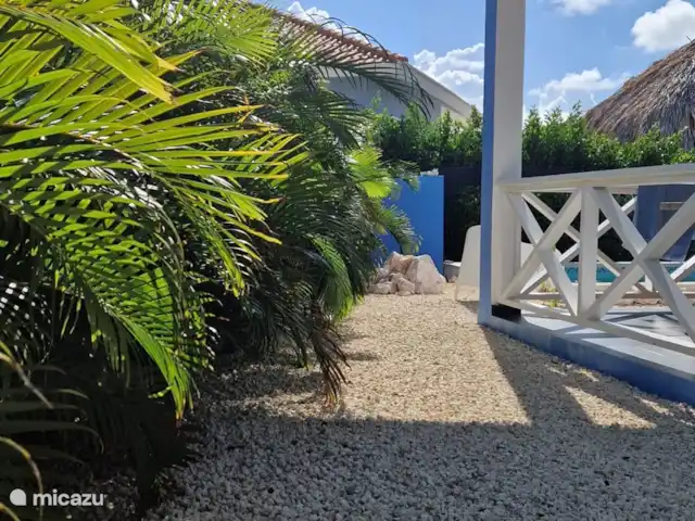 Casa Colori Curaçao | Curaçao, Banda Abou (ouest), Fontein - villa Les palmiers dansants du jardin