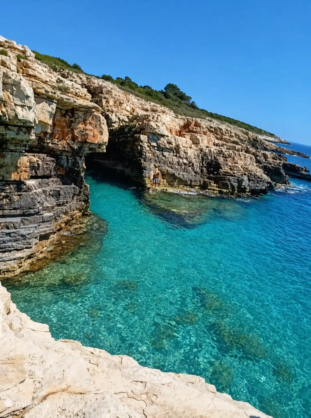 Voor avonturiers: cliff jumping in Cape Kamenjak bij het natuurpark Kamenjak Nature Park, met een prachtige cave om te ontdekken.