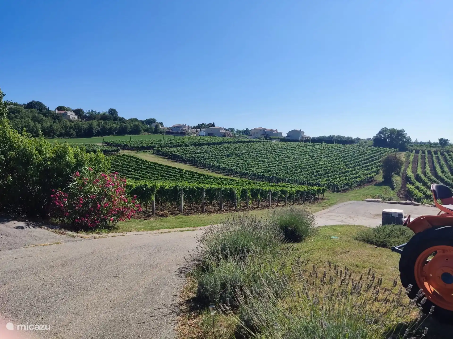 Para los amantes del vino: excursión de un día al interior de Istria, donde podrá descubrir los verdaderos sabores de Istria; Malvazia (vino blanco) o Terán (vino tinto). Muy recomendable