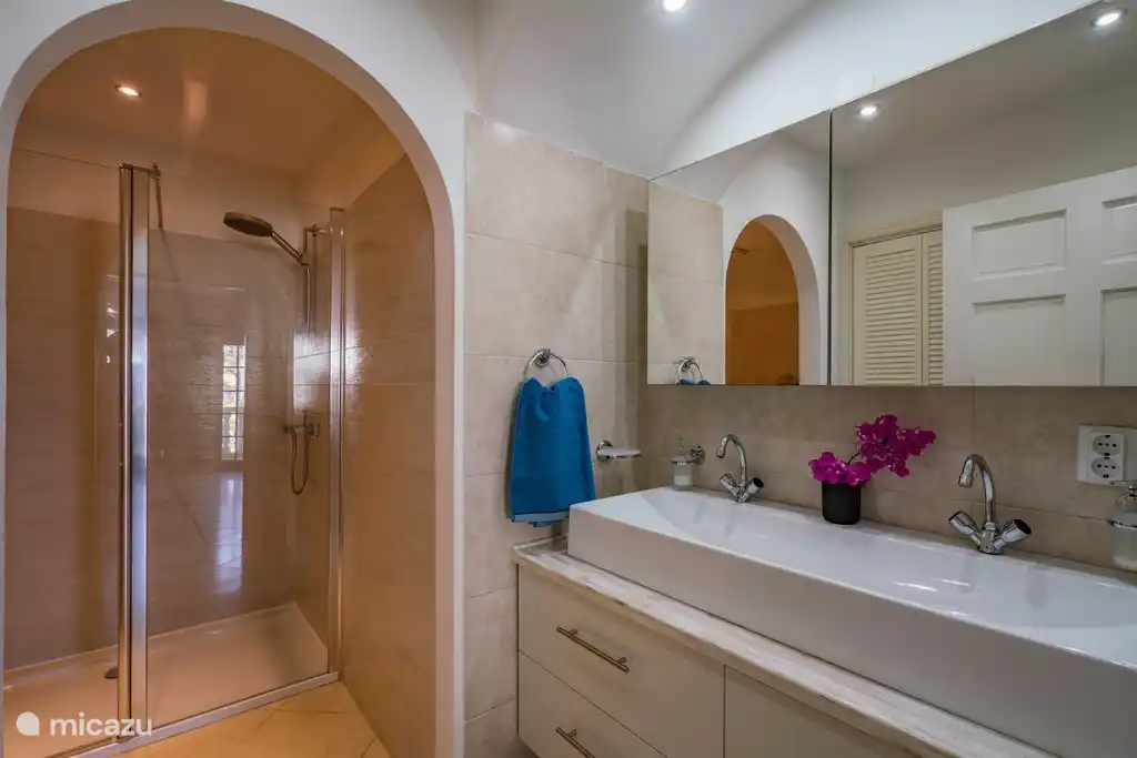 Salle de bain de la chambre principale