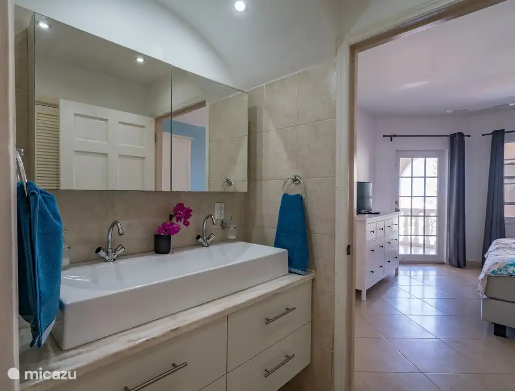 Salle de bain de la chambre principale