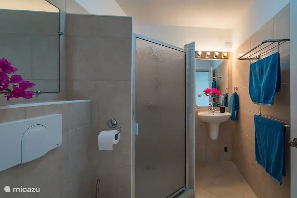 Salle de bain deuxième chambre