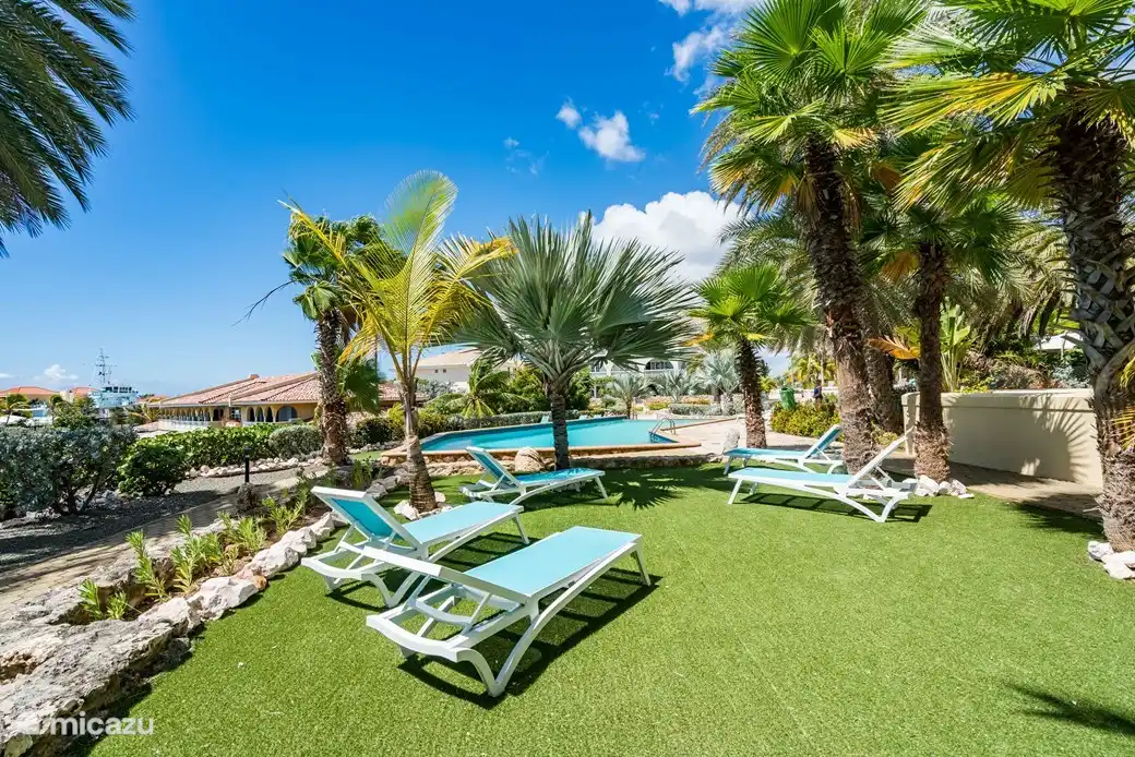 Chaises à la piscine