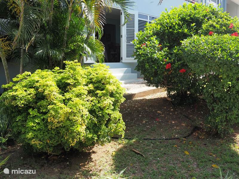 Ferienwohnung Curaçao, Banda Ariba (Ost), Seru Coral Appartement Kas di BaMi Seru Coral Resort A-186