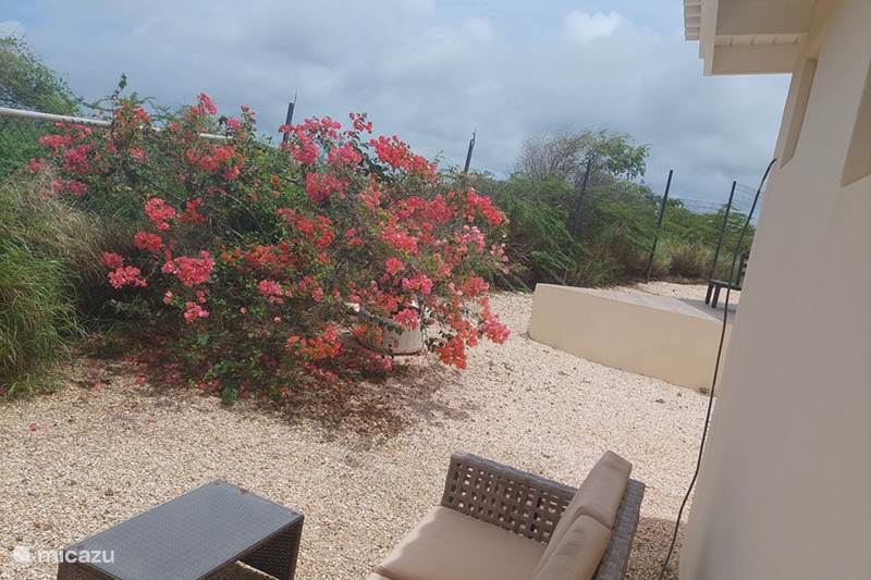 Vacation rental Curaçao, Banda Ariba (East), Santa Catharina Studio Studio Hydrangea