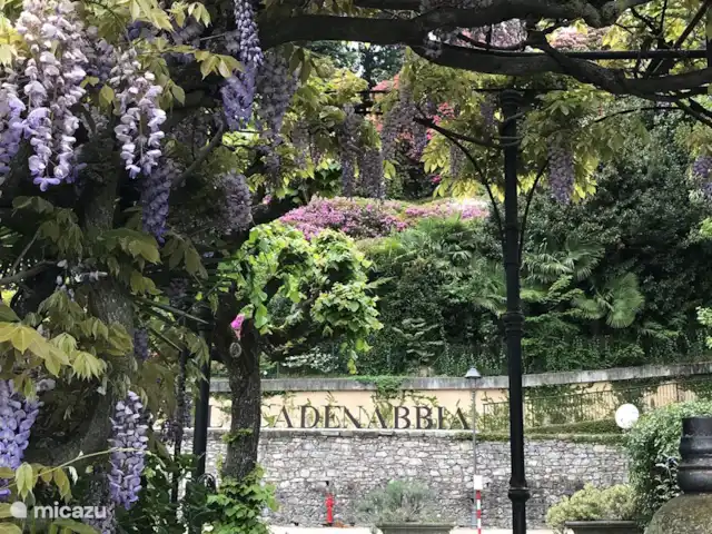 Porto Letizia - Apartamento P6 en Italia, Lagos italianos, Porlezza - apartamento Hermosa Tremezzo en el lago de Como