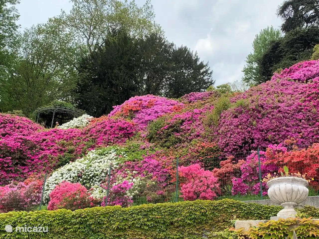Primavera! Frühling in den Gärten der Villa Carlotta in Tremezzo